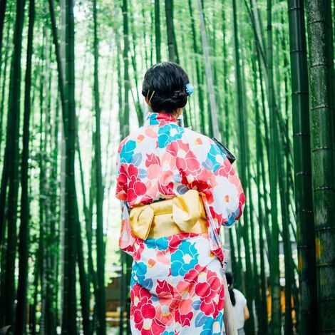 bamboo-trees-g79dd66459_1280
